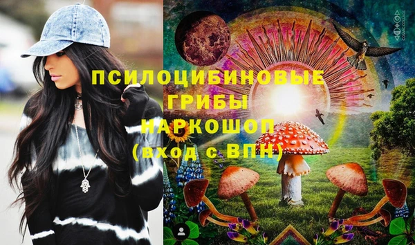 гашик Михайлов