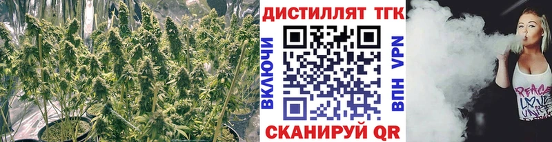 mega зеркало  как найти   Лихославль  Дистиллят ТГК вейп 